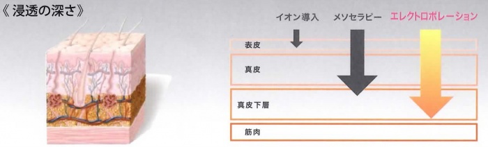 エレクトロポーション＆クライオ　＜電気穿孔導入＋冷却＞