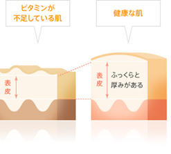 すこやかな肌のコンディションを保つ「ビタミンA」